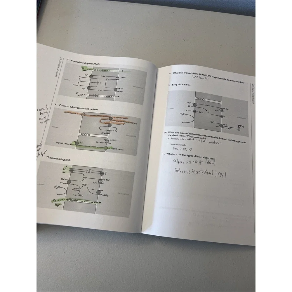 Doctors In Training Better Doctors Better World 2015 Step 1 Study Guide Used
